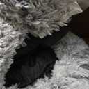 Bedfolks Calming Donut Dog Bed, 36 Inches Round Fluffy Dog Beds for Large Dogs, Anti-Anxiety Plush Dog Bed, Machine Washable Pet Bed (Light Grey, Large)