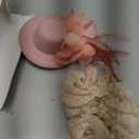 Sintege 4 Pcs Girls Tea Party Set Girls Tea Party Accessories Gloves Hats Necklace Fans for Toddler(Champagne)