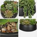 DILATATA Artificial Succulent Plants in Pot 5.5 Inch Fake Succulents Arrangement Potted Plant in Black Ceramic Planter Bowl for Home Office Desk Shelf Living Room Bedroom Bathroom Decor