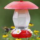 More Birds Hummingbird Feeder, Plastic Hummingbird Feeders, Red, 4 Feeding Stations, 20-Ounce Nectar Capacity, Jubilee