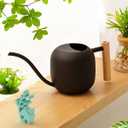 Baffect Watering Can Indoor Plants, 1.2L/41OZ Cute Watering Can Pot, Metal Stainless Steel Garden Water Can with Long Spout for Indoor House Plants Bonsai Outdoor Garden Flower Decorative
