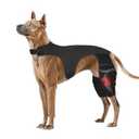 Adjustable Dog Knee Brace for ACL Tear and Arthritis Recovery - Dual Hind Legs Support with Harness Connection - Orthopedic Leg Wrap for Joint Stability and Pain Relief in Small to Large Dogs (L)