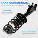 Rear & Front Struts Shocks w/Coil Springs for 2006-2011 Honda Civic ONLY Sedan 1.3L 1.8L / Acura CSX ONLY Sedan 2.0L, Strut Shock Absorbers Assembly 2007 2008 2009 2010 (Fits 172287 172286 5609)