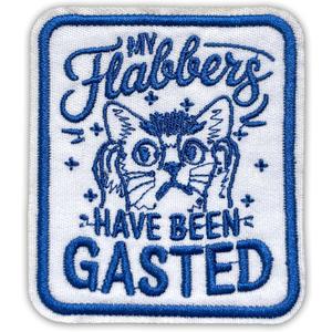 2 x My Flabbers Have Been Gasted Patch 3 Inches Funny Cat Cute Mental Health Meme Humor Iron On/Sew On Embroidery Fabric Applique Patches for Trucker Hat Clothes Backpack DIY Accessories Friend Gift