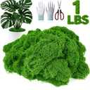 2 x 1LB Artificial Fake Green Moss for Crafts Plants Indoor