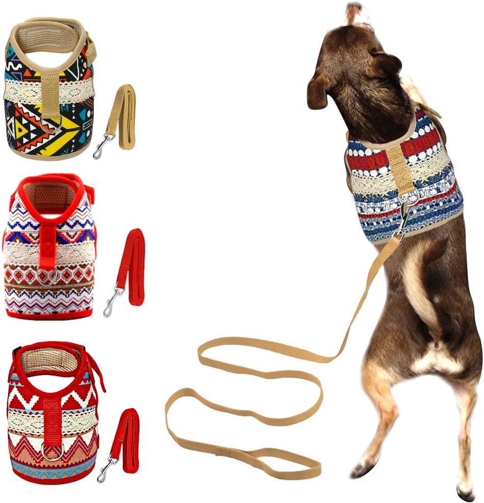 Dog Harness & Leash Set for Small Breeds (Large, Goa) (L 6-12 lb, Chest 13-16)