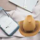Veemoon 3pc Ring Storage Box Cowboy Hat Shape Jewelry Organizer Earrings Case Hat Flannel Storage Unique Design