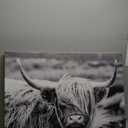 SEVEN WALL ARTS Highland Cow Photography Wildlife Portrait Picture Black and White Closeup Animal Print Scottish Highland Cattle Framed Farmhouse Artwork for Living Room Bedroom Office Decor 36"x24" (36L" x 24W", Highland Cow)