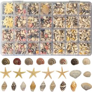 25 Types Small Sea Shells for Crafts, 1800 Pcs Tiny Seashells with Mixed Size Starfish for Crafting Spiral Conch Shells for Crafts Charms for Home Decorations Candle Decor DIY and Beach Vase Filler