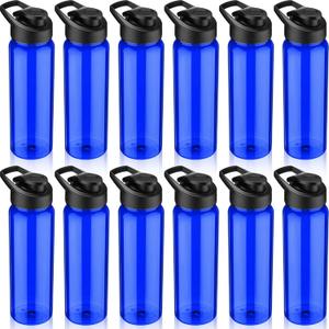 12 Pack Plastic Water Bottles 24 oz Blue Clear Water Bottles Bulk Reusable Sports Water Bottles with Spill Proof Lids for Gym Sports Home Office School
