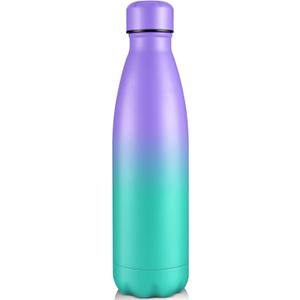 Volhoply 25oz Insulated Water Bottle 1/2/4 Pack, Double Wall Stainless Steel Vacuum Bottles, Keeps Cold & Hot, BPA Free Leak Proof Bottles (Purple Green,1 Pack)