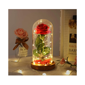Beauty and The Beast Rose, Christmas Roses Gifts for Mom, Birthday Gift for Women, Light Up Rose in Glass Dome, Eternal Rose Flower Gifts for Her, Roses Gifts Girlfriends for Wife