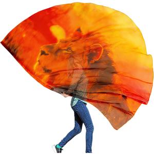 Wuchieal Porphetic Praise Dance Worship Flex Flag, radius 74" semicircle Lion Dance Ministry Streamer (CGSZ#RED-YELLOW)