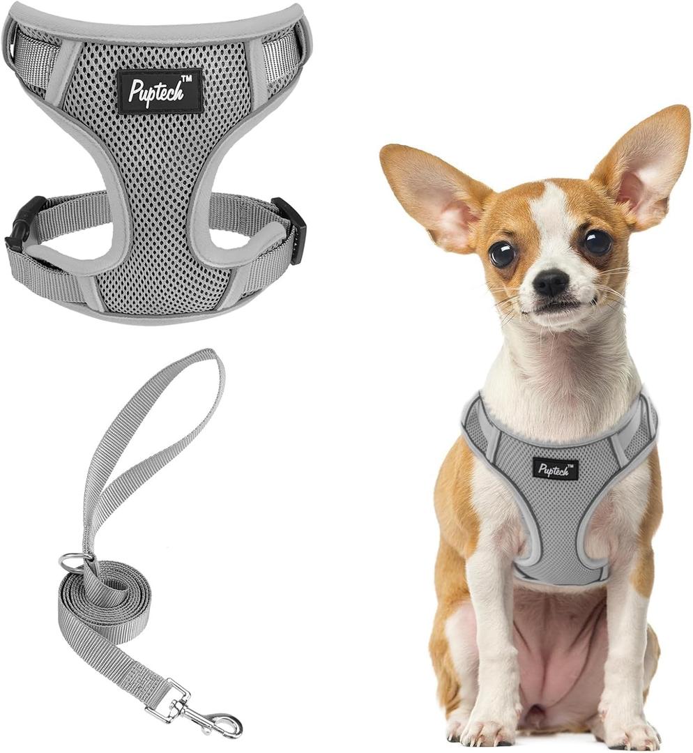 PUPTECK Dog Harness and Leash Set, No Pull Adjustable Pet Small Dog Harness, Reflective Soft Mesh Pet Vest, for Small Medium Dogs Walking, Grey, S