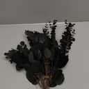 iegxin 90 Pcs 3 Kinds Mixed Eucalyptus Leaves Stems Bulk Artificial Silver Dollar Leaves Picks Dried Eucalyptus Bundle Faux Spray for Wedding Vase Bouquet Floral Arrangement (Black)