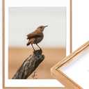 18 x 24 Poster Frame, Natural Solid Oak Wood Picture Frame with High Tempered Glass, Handcrafted Rounded Corner 18 by 24 Wooden Frame Matted to 16x20 Photo for Horizontal or Vertical Wall Mounting (18x24, 1 Pack)