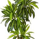 Artificial Dracaena Tree, 6ft Tall Fake Dracaena Plant with Basket, Indoor Outdoor Faux Topiary Yucca Trees for Office Home Living Room Porch Patio Dcor