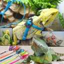2 x Lizard Leash Bearded Dragon Harness Adjustable Reptile Lizard Harness Leash Parrot Harness Turtle Lizard, Suitable for Gecko Hamster Kitten Small Animal Outdoor Walking,Black
