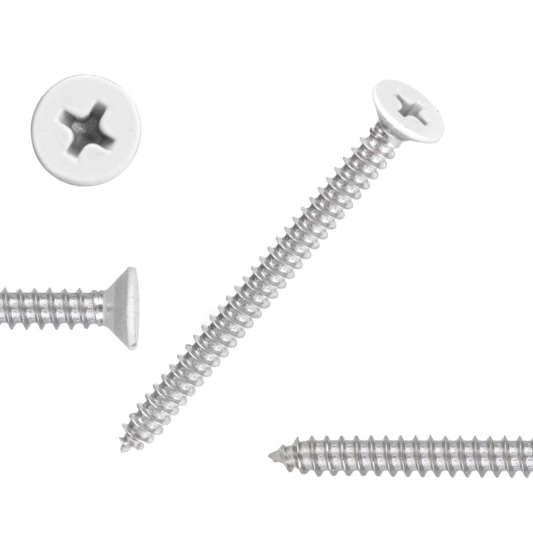 White Head 50 PCS #14X2 Stainless Steel Phillips Flat Head Wood Screws,Stainless Steel 18-8 A2(304) Screw,Home Screw Kit by QISHENG