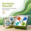 Little Green Leaf Automatic Plant Watering Globes Self Watering Planter Inserts (Set of 4) | Hands Free Multicolor Glass Bulbs | Planter Spikes to Support Indoor & Outdoor Plant Health (100ml)