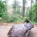 Stansport Light-Duty Rip-Stop Tarp 12' x 16' - Brown (U-1216)