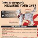 rabbitgoo Cat Harness and Leash for Walking, Escape Proof Soft Adjustable Vest Harnesses for Cats, Easy Control Breathable Reflective Strips Jacket, Black & Red, S