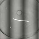 2 Pack 13 1/2 Inch Clear Glass Squirrel Baffle Weather Guard for Shepherd Hook or Bird Feeding Station Pole or Hanging Bird Feeders