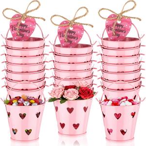 24 Pcs Mini Pink Valentine Buckets with Handle 2.36 Inch Small Metal Heart Pails with Gift Tags Bulk ValentineS Day Gift Bucket Party Favor Candies Crayon Pencil Craft Storage, Heart Hollow