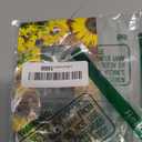 Kitchen Spring Rustic Yellow Golden Flower Gold Sunflower on Wood Wooden Decorative 1 Gang Single Decorator GFCI/Rocker Wall Plate Electrical Receptacle Outlet Light Switch Cover for Dimmer, USB