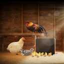 ChickCozy Smart Coop Heater & Chick Brooder