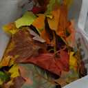 Fovths 6 Pack Maple Leaves Garland 5.8ft/Pc Artificial Fall Decorations Colorful Autumn Hanging Vine for Thanksgiving Halloween Fireplace Indoor Outdoor Decor