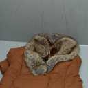 Women's Puffer Jacket Winter Plush Lining Long Coat with Removable Fur Collar Hooded and Belted 5528 Camel, Large