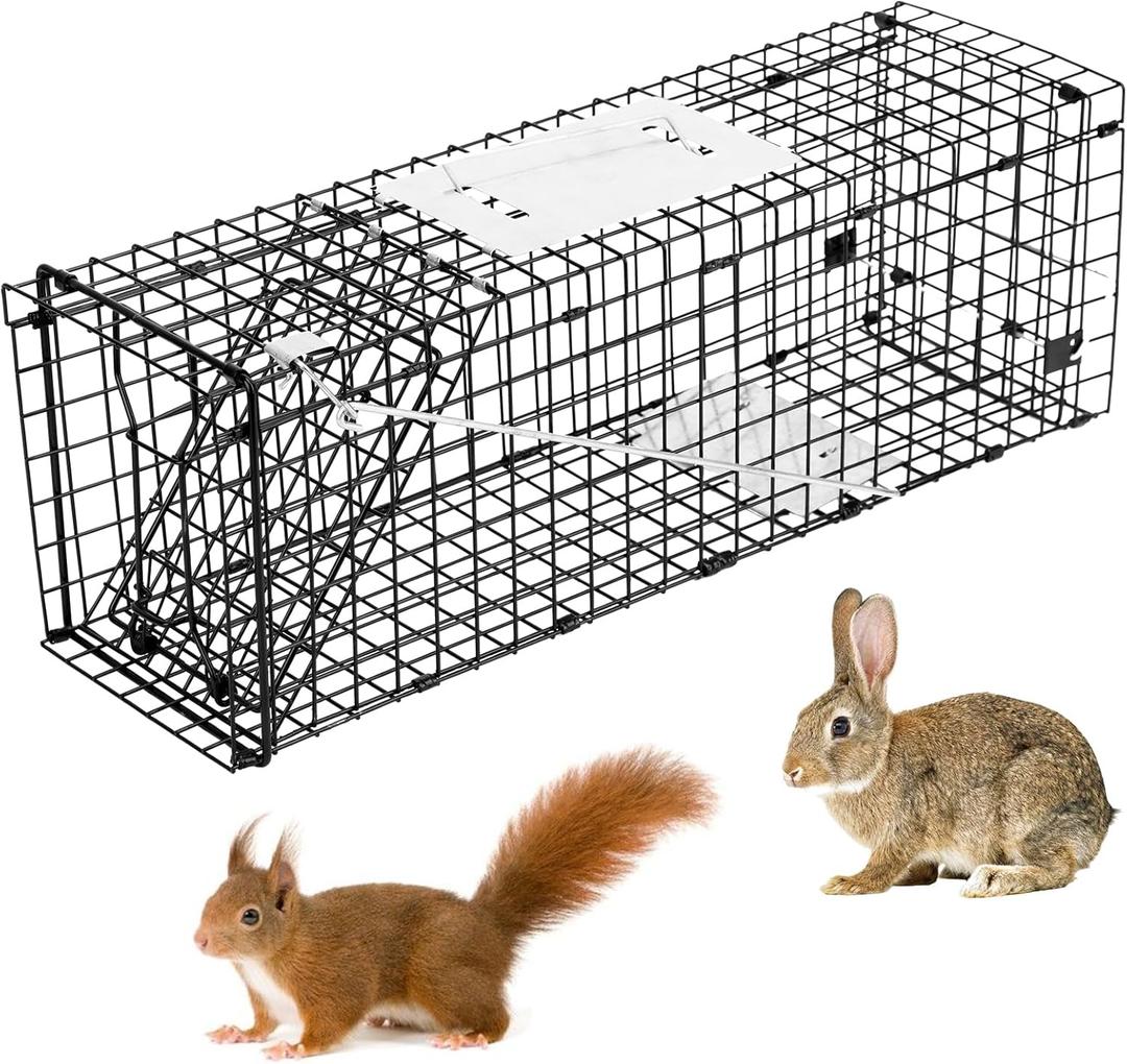 Heavy Duty Live Trap 24x7x8 inch Steel Collapsible with Humane Trap Release Door for Rats, Squirrels, Rabbits, Moles and Other Small Live Animals.