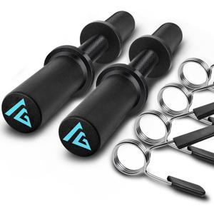 16" Olympic Dumbbell Handle, Dumbbell Bar for 2-inch Olympic Weight Plates, Loadable Dumbbells for Home Gym Strength Training, 2 Pair of Spring Collars Included (Black)