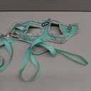 AIITLE Tiny Dog Harness - Lightweight Mesh Step-in Vest for Puppy, Reflective & Escape-Proof Design with High-Stick Magic Tape - Indoor/Outdoor Use for Chihuahua, Maltese, Shih Tzu(Sage, XXXS) (Chest: 8.5 - 10")