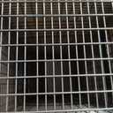 HAVAHART 1079SR Large 1-Door Humane Catch and Release Live Animal Trap Cage - Live Raccoon Trap, for Bobcats, Beavers, Dogs, & More