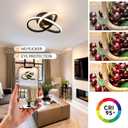 10 Inch Modern Ceiling Light, 24W LED Dimmable Ceiling Light with Remote Control, 3000-6000K Color Temperature Adjustable, Black Small Chandelier for Bedroom, Entryway, Hallway, Kitchen
