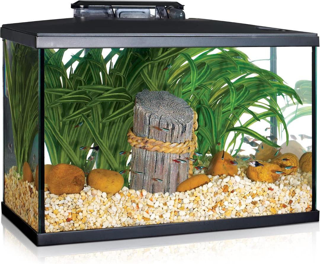 Marina 5 Gallon (19 L) LED Aquarium Kit Ideal for Beginner Aquarists and New Fish-Keepers