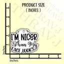 6 x (3PCS) I'm Nicer Than My face Looks Sticker. Funny Inspired, Inspirational Motivational Gifts, Waterproof Vinyl Decal for Water Bottles, Laptops, Phones, Tumblers, Size 2,8 x 3 Inch