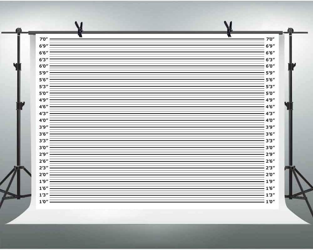 Mugshot Photo Booth Backdrop Banner 10x7ft Wide Enough for Everyone Accurate Measurements for Bachelorette Party, Girls Night Out, Birthday, Height Charts, Party Theme Props LSFH635
