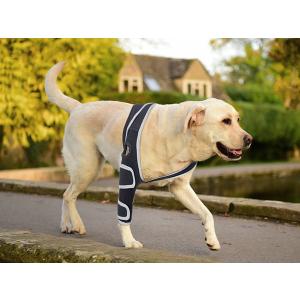 Dog Acl Knee Brace for Hip Dislocation, Cruciate Ligament Injury - Provides Stabilizing Support, Pain Relief, Pet Knee Wound Protection for Hind and Front Legs, M