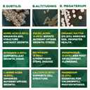 Organic Liquid Plant Food for Indoor Plants & Gardens, Natural NPK Fertilizer w/Beneficial Microbes, Rapid Results, Vegan, Best Value Super Concentrate, Smart Grower, Makes 160 Gallons (32 Fl Oz)