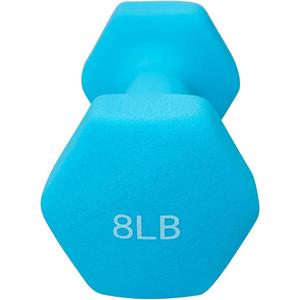 Dumbbell Hand Weight 8LB