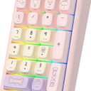 NumberPad,21Keys HotSwappable Numpad,Bluetooth5.0/2.4G/Type-C Wireless Numeric Keypad,Rechargeable Number keypad,RGB Gasket Structure Mechanical Keyboard with PBT Keycap for PC Laptop Notebook