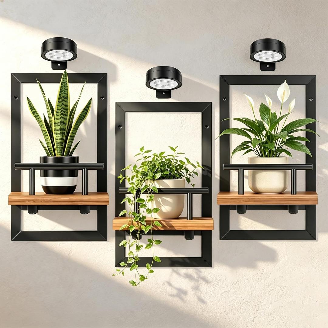 Wall Plant Holder with Light, 3 Pack Floating Shelves for Wall