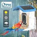 Brookstone Smart Bird Feeder with HD Camera, Solar Powered, AI Bird Identification, Live Stream via WiFi, Night Vision, Weatherproof, Outdoor Backyard Feeder