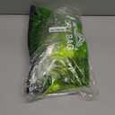 HEETA Dry Bag Waterproof for Women Men, 5L/10L/20L/30L/40L Roll Top Lightweight Dry Storage Bag Backpack with Phone Case for Travel Swimming Boating Kayaking Paddle Board Camping Beach Accessories (Lemon Green)