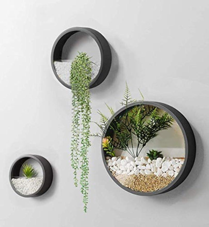 Metal Wall Planter,Round Hanging Wall Vase Planters for Succulents |Flower Pot Wall Planters for Plants,Succulent Plants, Small Cactus and More,Home Wall Decor |Black Color | in Gift Box 3 Pcs