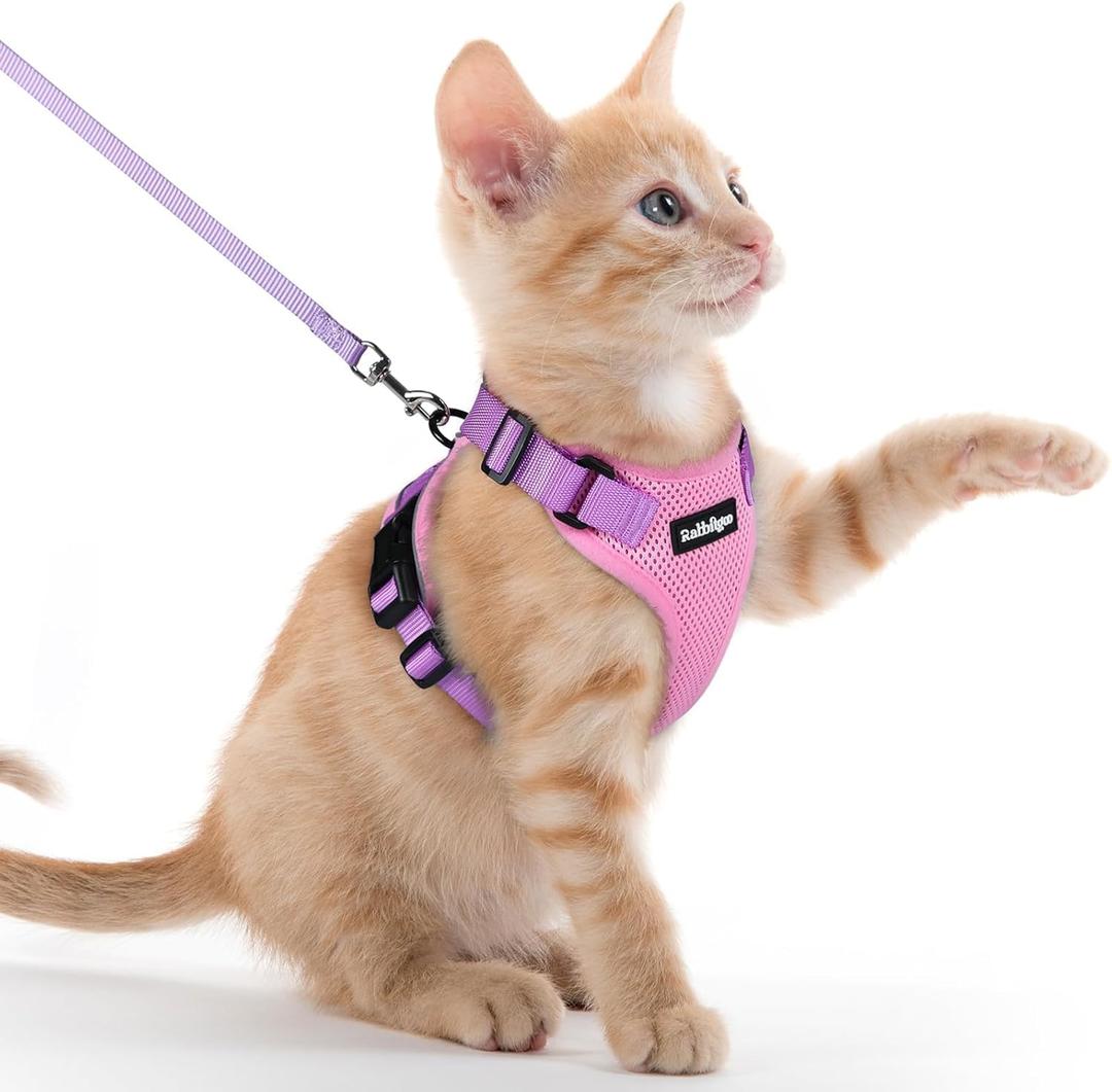 rabbitgoo Cat Harness and Leash for Walking, Escape Proof Soft Adjustable Vest Harnesses for Cats, Easy Control Breathable Reflective Strips Jacket, Pink & Purple, XXS rabbitgoo Cat Harness and Leash for Walking, Escape Proof Soft Adjustable Vest Harnesses for Cats, Easy Control Breathable Reflective Strips Jacket, Pink & Purple, XXS