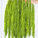 15Pcs Neon Green Preserved Hanging Amaranthus Flowers - 23" Cascading Dried Flower Tassels for Wedding Arch, Backdrop Installations, Vase Arrangements & Home Decor